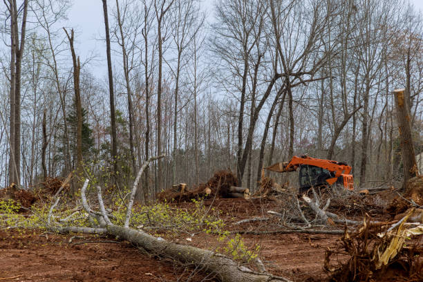  John Day, OR Tree Services Pros